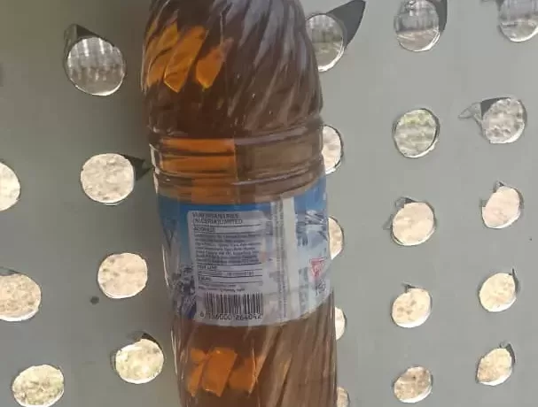 Why Did My Water Suddenly Turn Brown After Short Storage Time